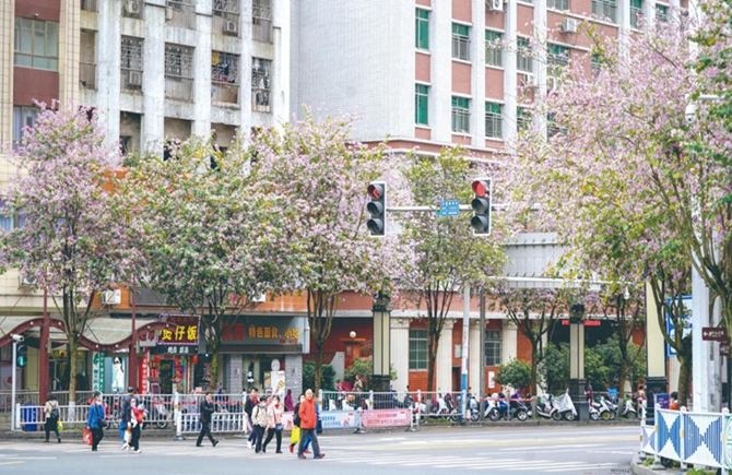 街道整潔 時(shí)花爭(zhēng)艷