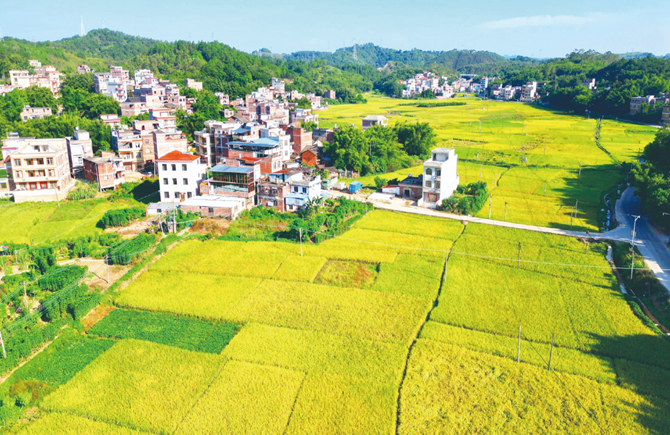 田園秋色如畫(huà)